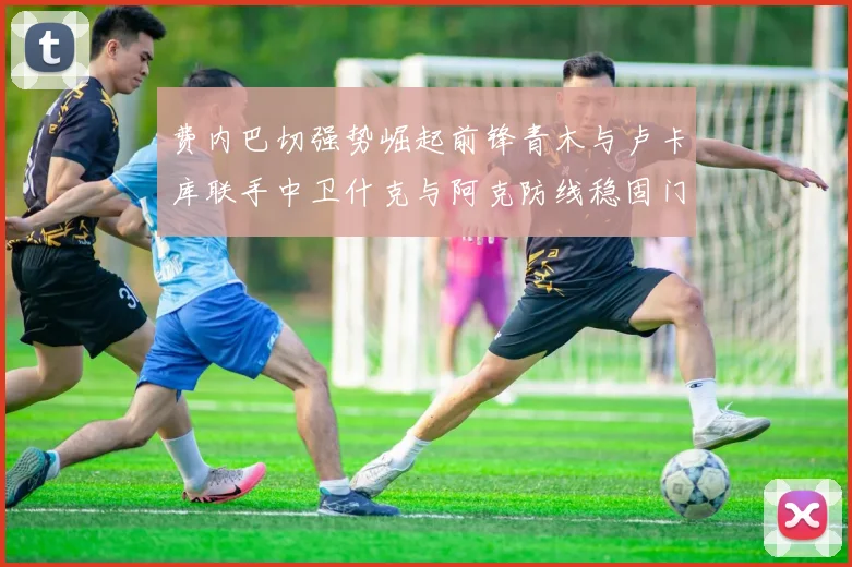 费内巴切强势崛起前锋青木与卢卡库联手中卫什克与阿克防线稳固门将埃德松实力不容小觑